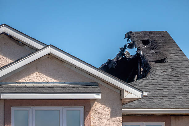 Top rated local Board Up Services specialists in Federal Way, WA